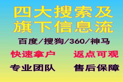 企业SEM服务实战案例解析